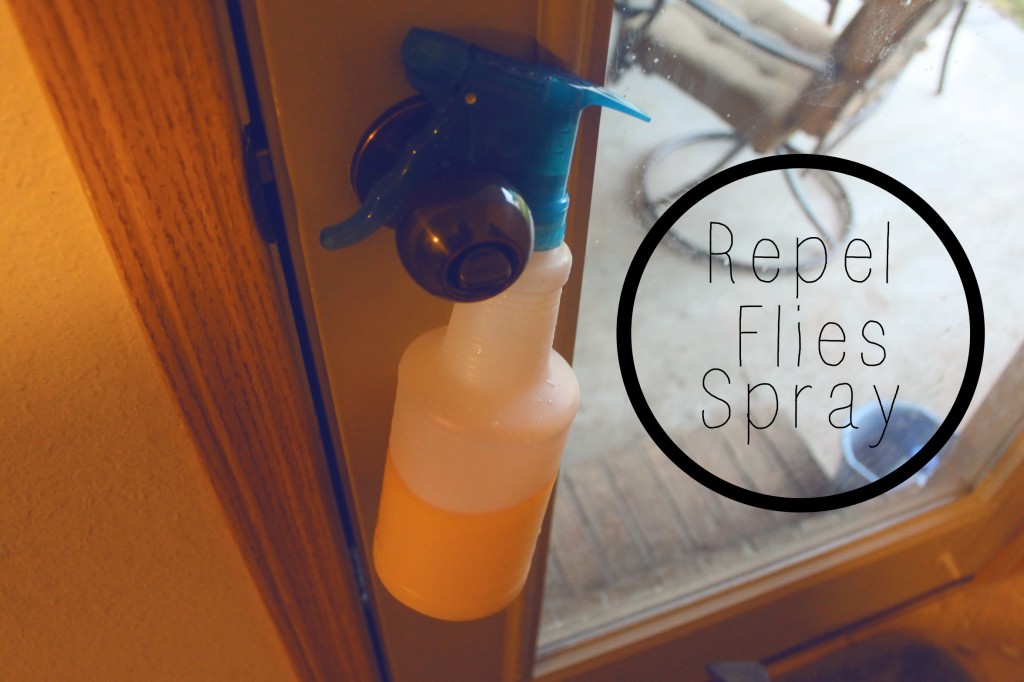 DIY Repellent Spray for Flies Meredith Rines