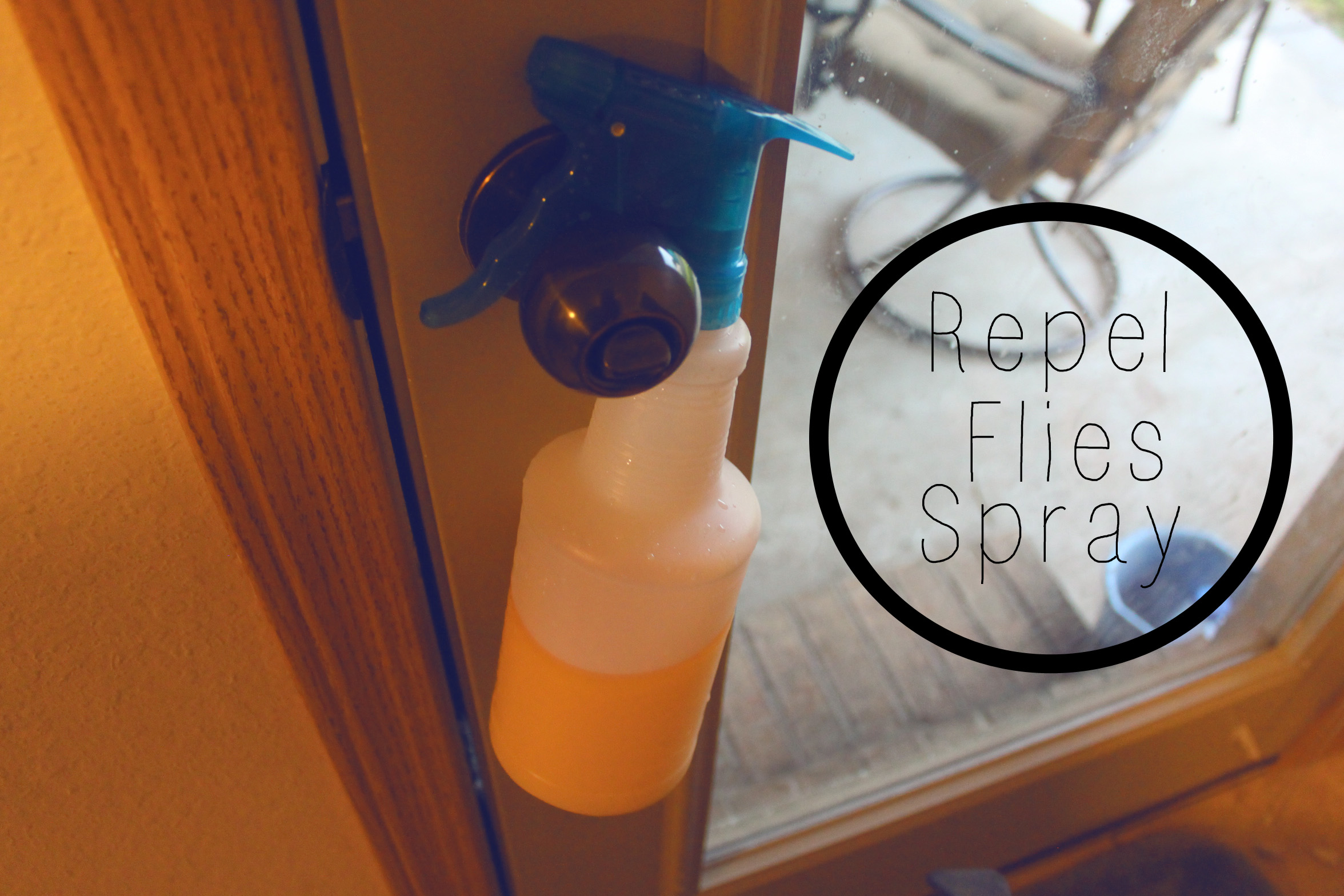 DIY Repellent Spray for Flies