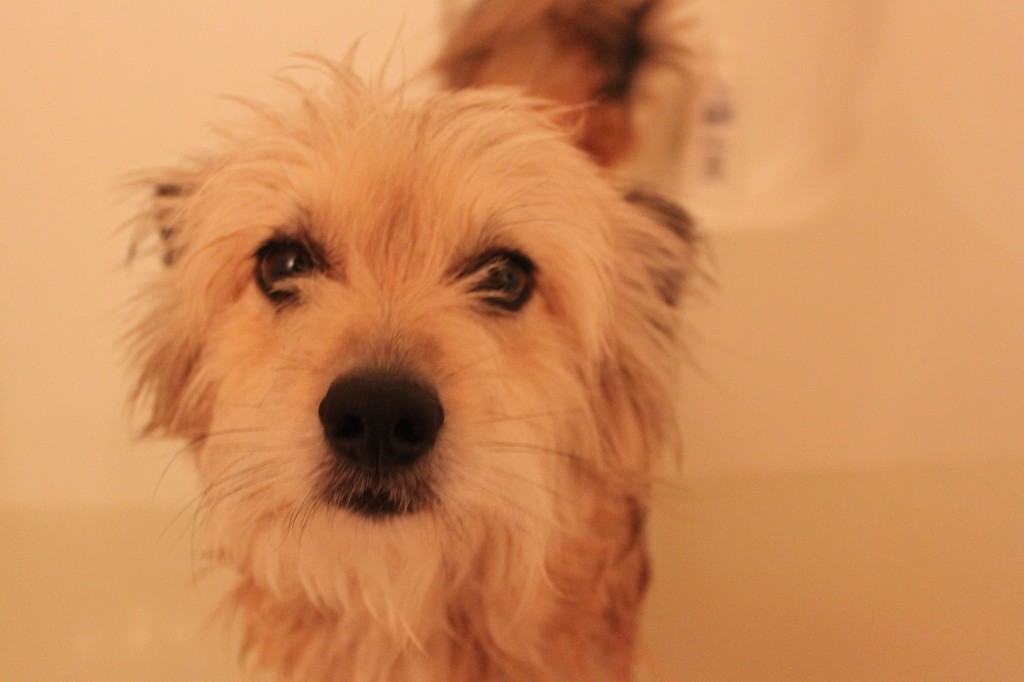 homemade oatmeal bath