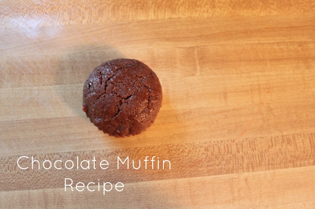 Chocolate Muffin Recipe