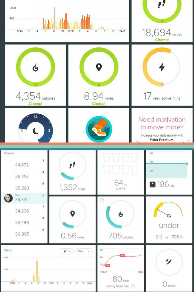  fitbit flex dashboard, fitbit flex vs fitbit charge hr, fitbit review