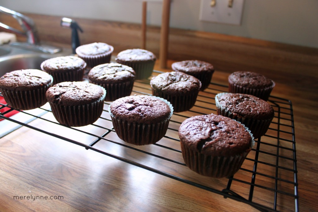 chocolate cupcake