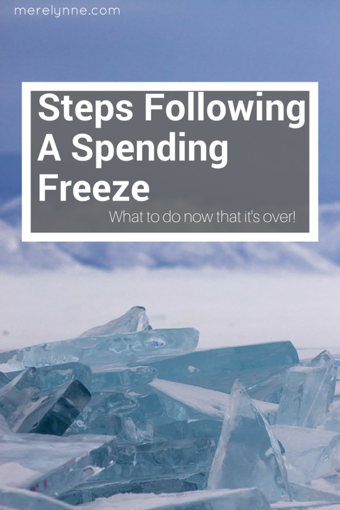 steps following a spending freeze, spending freeze, how to do a spending freeze, meredith rines, merelynne