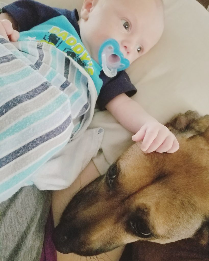 growing up with dogs, dogs and kids, dogs and babies