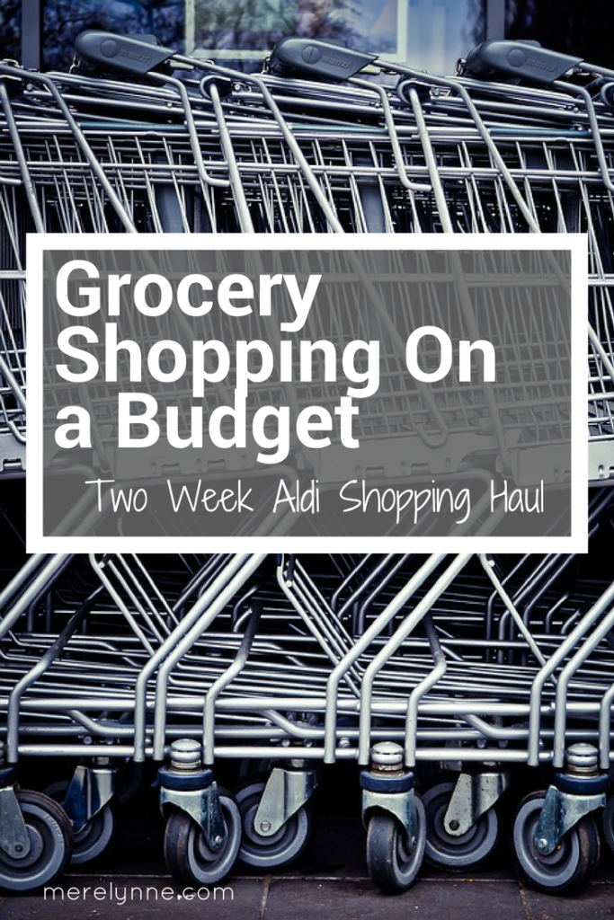 grocery shopping on a budget, how to stick to a budget, aldi shopping haul, aldi haul, shopping at aldi, family of three