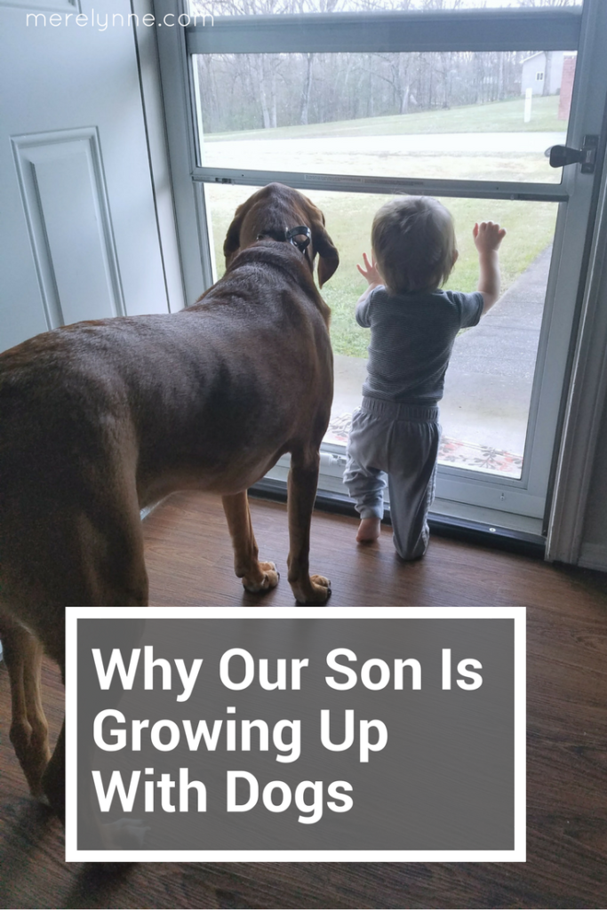 growing up with dogs, dogs and kids, dogs and babies, kids and dogs