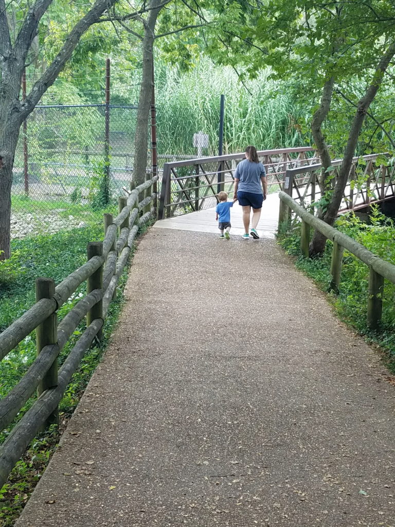 laguna tide, laguna tide diaper bag, diaper backpack, laguna tide diaper backpack review, #lagunatide, springfieldmo, dickerson park zoo, mother and son, walking with family, mom life