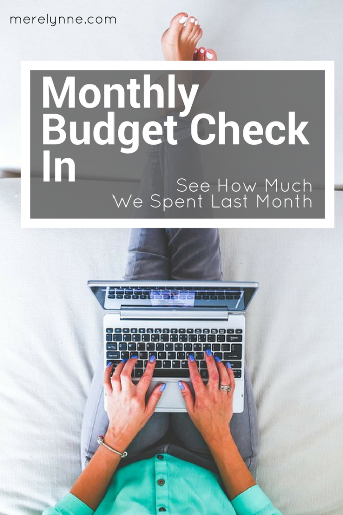 december budget check in, budget check in, how much do we spend, how much to spend, meredith rines, merelynne