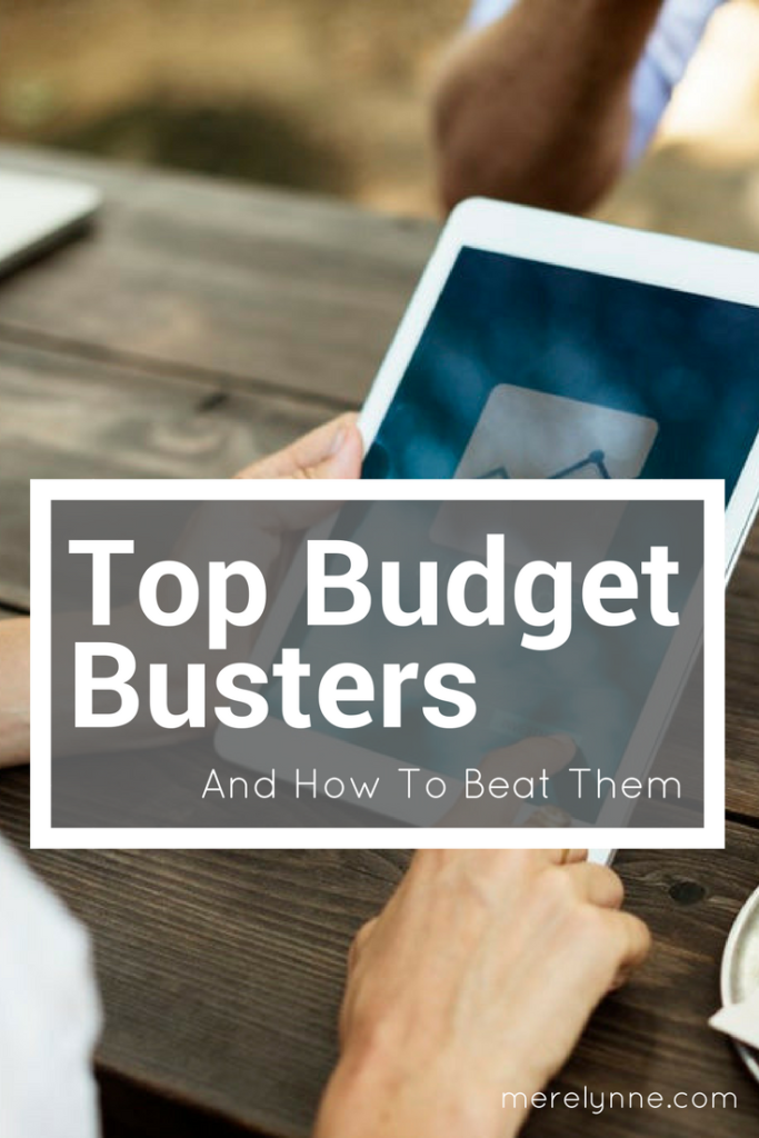 top budget busters, budget busters, how to beat budget busters, budget help, meredith rines, merelynne