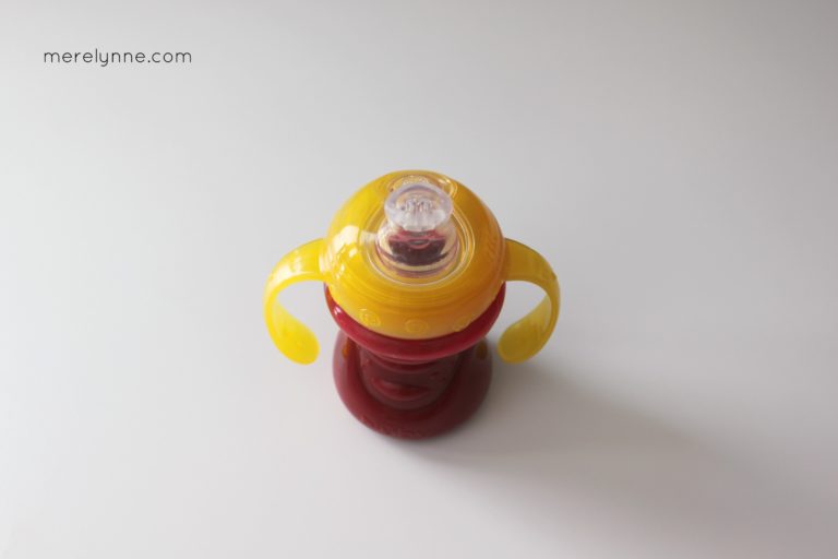 How to Make a Healthy Baby Smoothie Meredith Rines