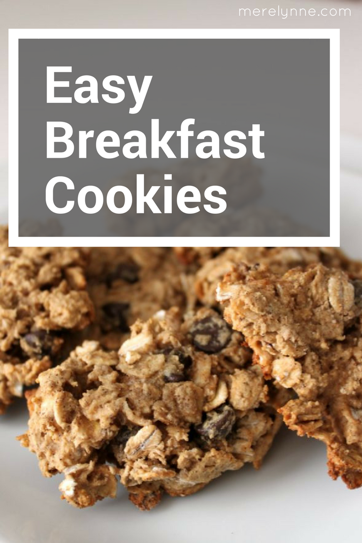 Easy Breakfast Cookies {recipe} - Meredith Rines